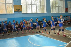 Нікольський район