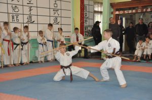 Кубок Маріуполя з Бойових мистецтв (2)