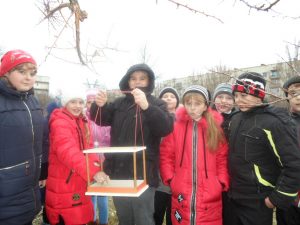 годівнички для птахів