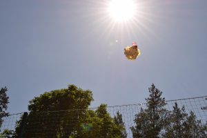 День захисту дітей 2018