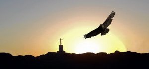 Дикий степ Позажанрове фото Головачова Єлизавета 14 р.