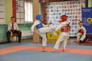 Кубок міста з бойових мистецтв