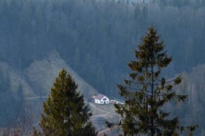 ЄВРОПЕЙСЬКА УКРАЇНА