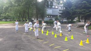 До Дня Конституції України