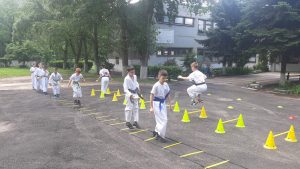До Дня Конституції України