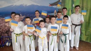 До Дня Конституції України